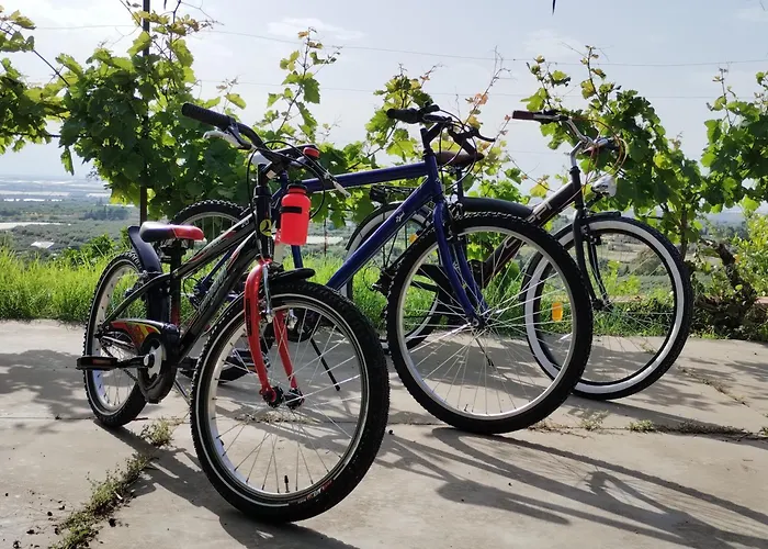 Ronnavona Oda ve Kahvaltı